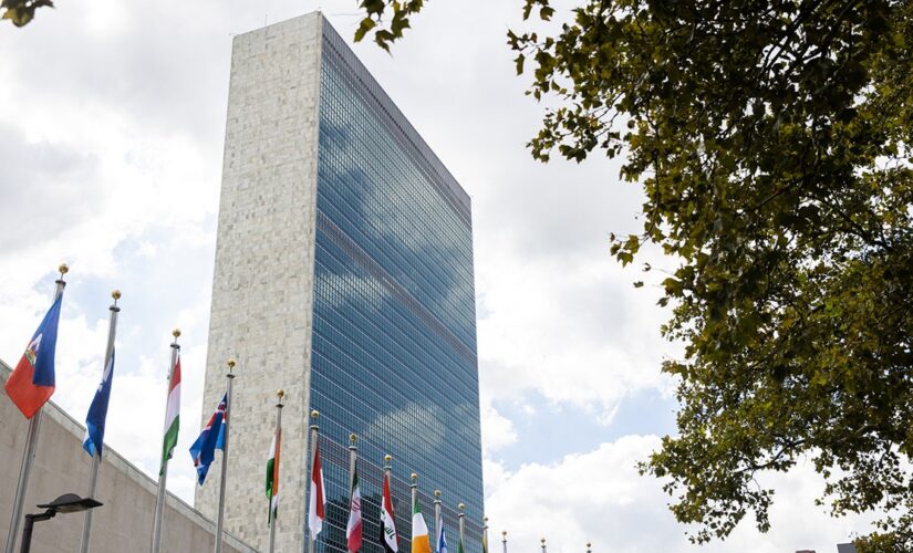 The United Nations: Is it worth all the money?