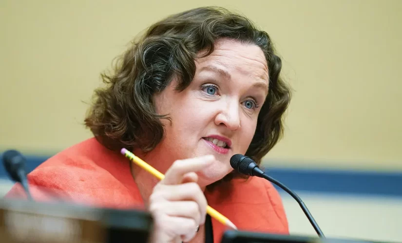 Katie Porter received royalties from books she required students to purchase during tenure as a law professor