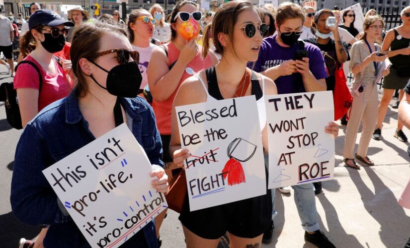 Michigan judge rules 1931 law criminalizing abortion is unconstitutional