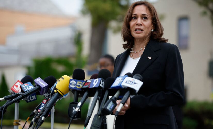 VP Kamala Harris meets with civil rights, reproductive rights leaders to discuss abortion access