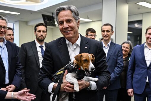 Blinken meets famous Ukrainian bomb detection dog, Zelenskyy during surprise Kyiv visit