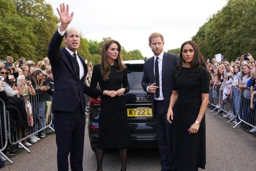 Prince William ripped on social media, Prince Harry praised for treatment of Meghan Markle in viral video
