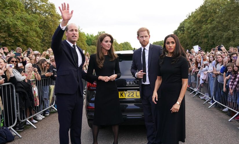 Prince William ripped on social media, Prince Harry praised for treatment of Meghan Markle in viral video