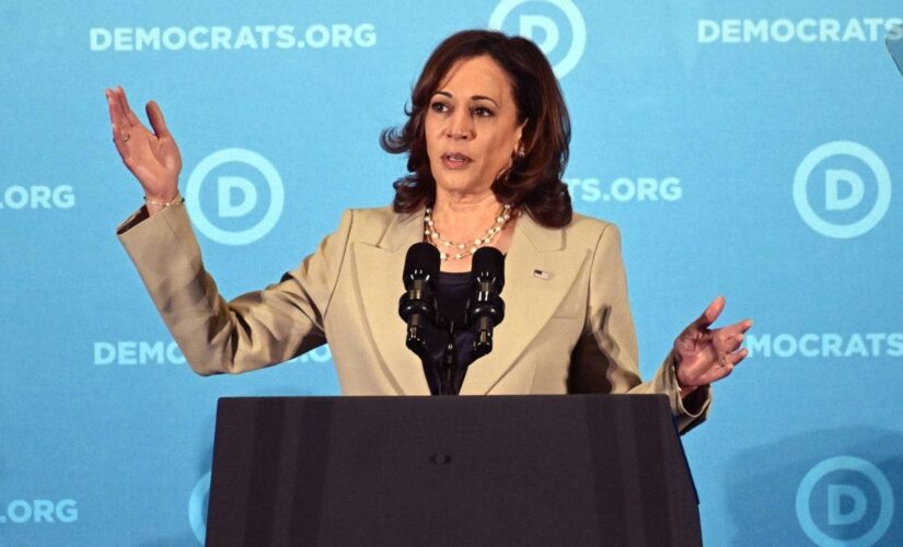 Kamala Harris declares ‘border is secure’ as thousands of illegals flood into US every day