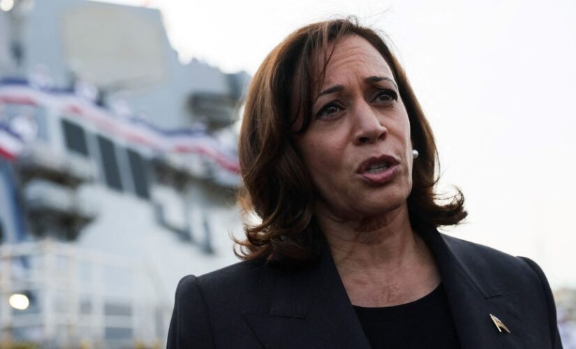 VP Kamala Harris expresses support for Taiwan, torches China while addressing Navy sailors in Japan