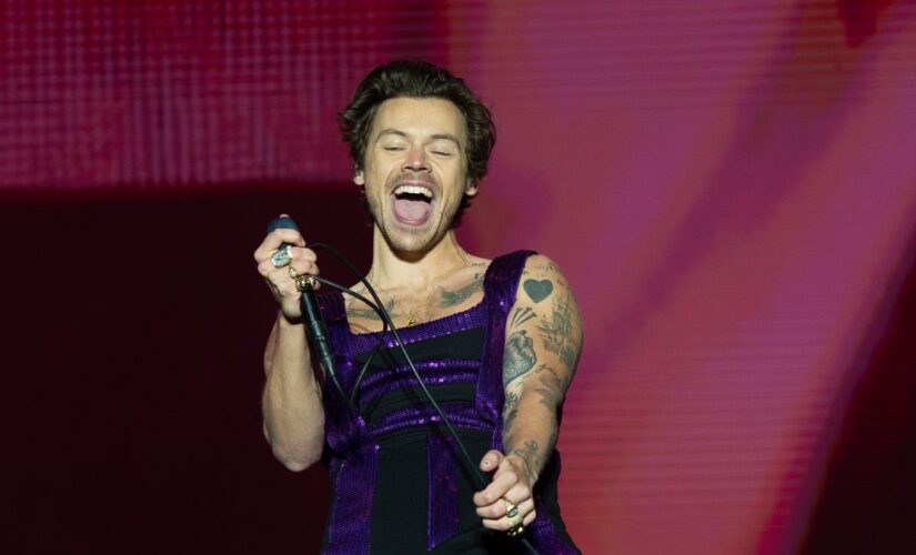 Harry Styles jokes he went to Venice ‘to spit on Chris Pine’ during New York City concert