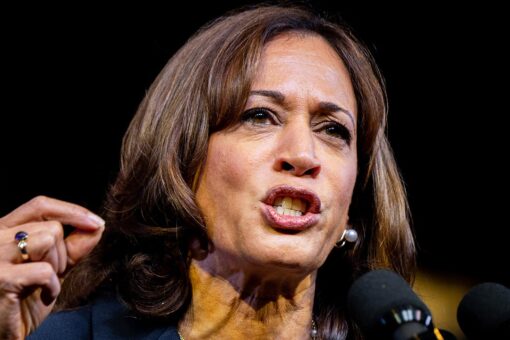 Kamala Harris says she ‘can’t wait’ to end Senate filibuster if Democrats win seats in midterms