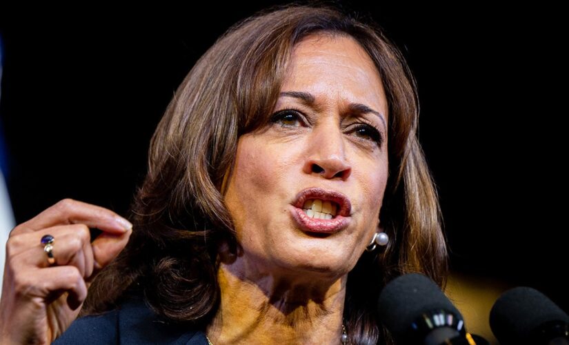 Kamala Harris says she ‘can’t wait’ to end Senate filibuster if Democrats win seats in midterms