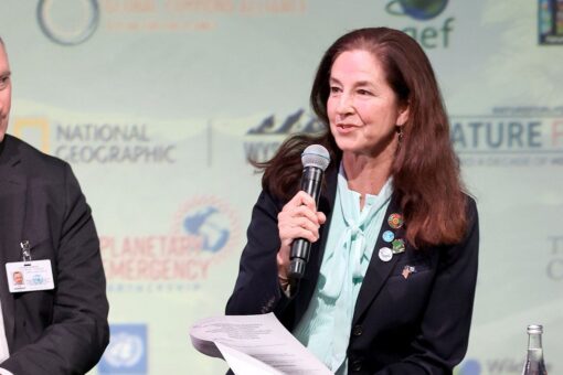 White House chief of staff’s wife gets new Biden admin gig as diplomat for environment