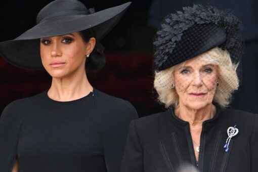 Meghan Markle ‘seemed bored’ with Queen Consort Camilla’s advice after joining royal family, author claims