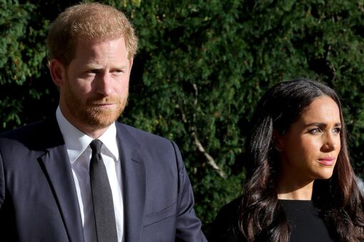 Meghan Markle and Prince Harry are ‘worried’ of being iced out from the royal family amid ‘demotion’: expert