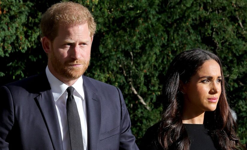 Meghan Markle and Prince Harry are ‘worried’ of being iced out from the royal family amid ‘demotion’: expert