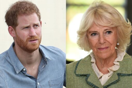 Camilla thought Prince Harry’s idea of bringing in a mediator to heal rift was ‘ridiculous,’ author claims