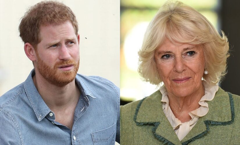 Camilla thought Prince Harry’s idea of bringing in a mediator to heal rift was ‘ridiculous,’ author claims