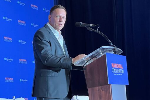 GOP megadonor Peter Thiel hits Republicans for lacking positive message ahead of midterms