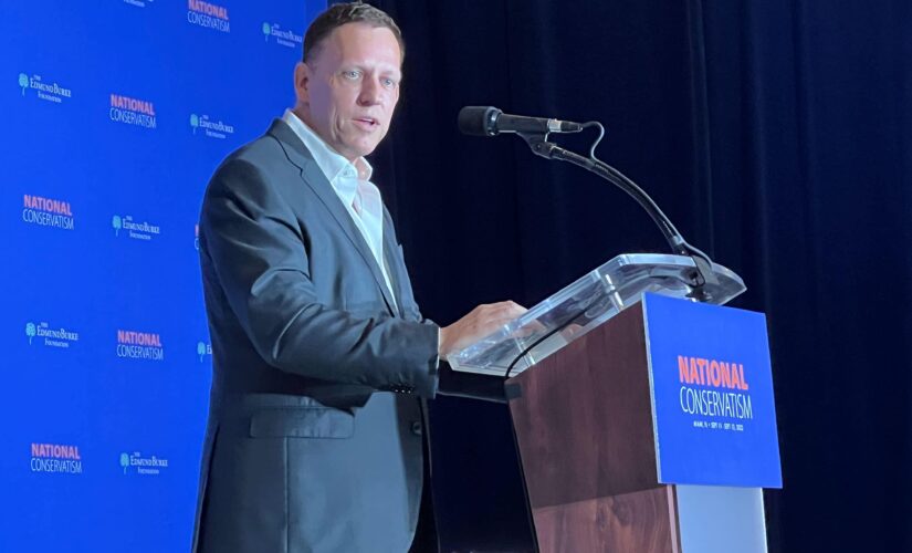 GOP megadonor Peter Thiel hits Republicans for lacking positive message ahead of midterms