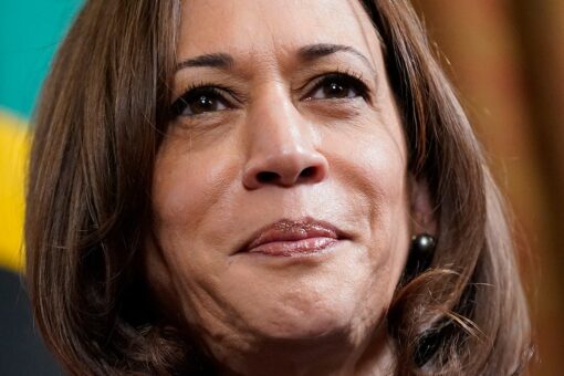 Kamala Harris praises Dem AGs for ‘taking on’ crisis pregnancy centers rocked by violence