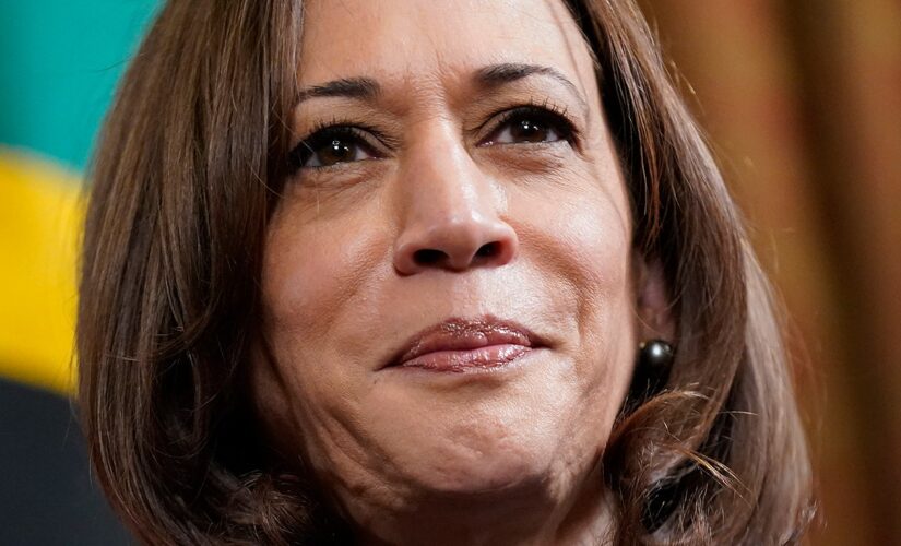 Kamala Harris praises Dem AGs for ‘taking on’ crisis pregnancy centers rocked by violence