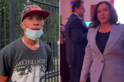 Vice President Harris ignores question on migrants arriving outside residence after ‘secure’ border claim