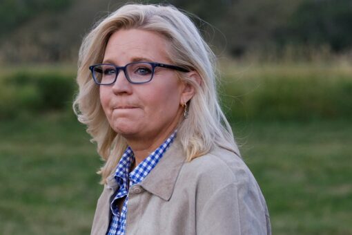Liz Cheney on if she prefers Democrats hold House majority: ‘It’s a tough question’