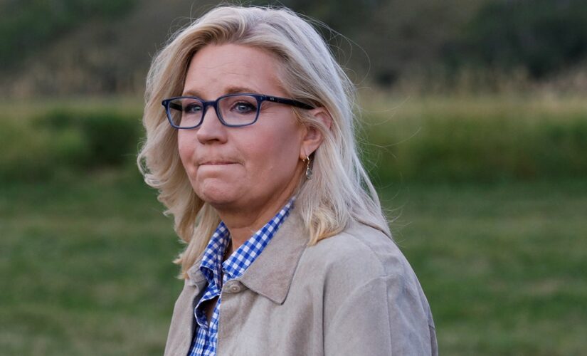 Liz Cheney on if she prefers Democrats hold House majority: ‘It’s a tough question’