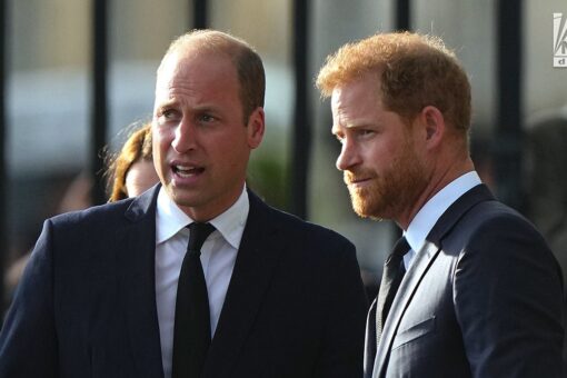 Prince William, Prince Harry should put ‘wives aside’ and patch up their relationship: American Viscountess