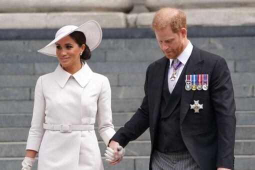 Prince Harry ‘has a penchant for wanting his cake and eating it too,’ royal expert claims
