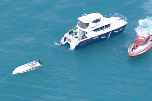 Boat off New Zealand collides with whale, leaving 5 dead