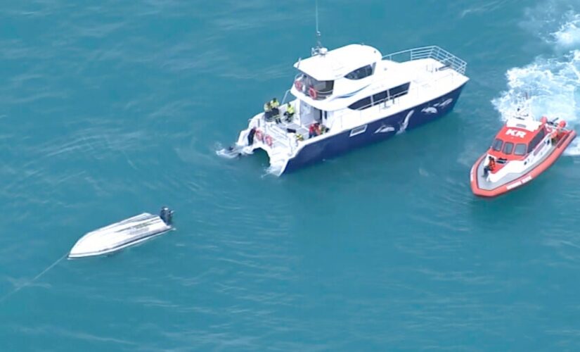 Boat off New Zealand collides with whale, leaving 5 dead