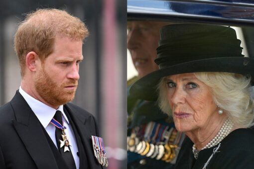 Prince Harry and Camilla, once close, are ‘distant’ amid bombshell book expected to rock palace: royal expert