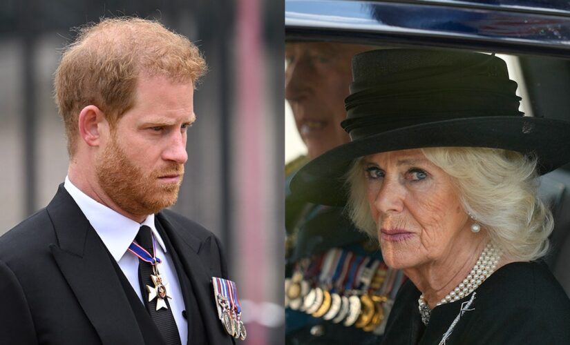 Prince Harry and Camilla, once close, are ‘distant’ amid bombshell book expected to rock palace: royal expert