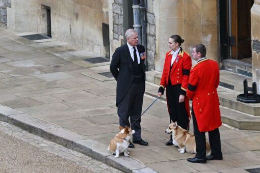 Queen Elizabeth II’s beloved corgis: Prince Andrew makes a pit stop before burial service