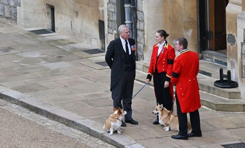 Queen Elizabeth II’s beloved corgis: Prince Andrew makes a pit stop before burial service