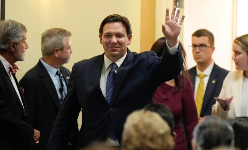 DeSantis ad spotlights mother whose son was killed in auto accident with illegal immigrant driver