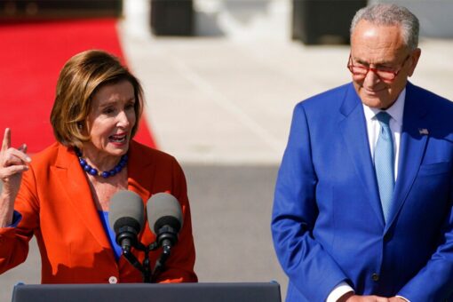 Nancy Pelosi nudges audience to clap during White House lawn event: ‘That’s an applause line’
