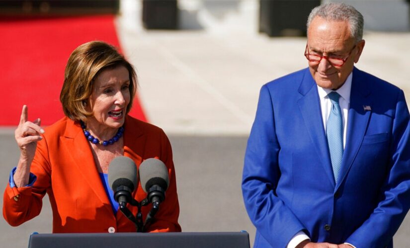 Nancy Pelosi nudges audience to clap during White House lawn event: ‘That’s an applause line’