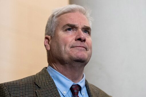 House Republican campaign chief says ‘Commitment to America’ agenda is ‘crucial’ to winning majority