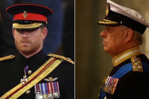 Queen Elizabeth II’s insignia missing from Prince Harry’s uniform, worn by Prince William and Prince Andrew