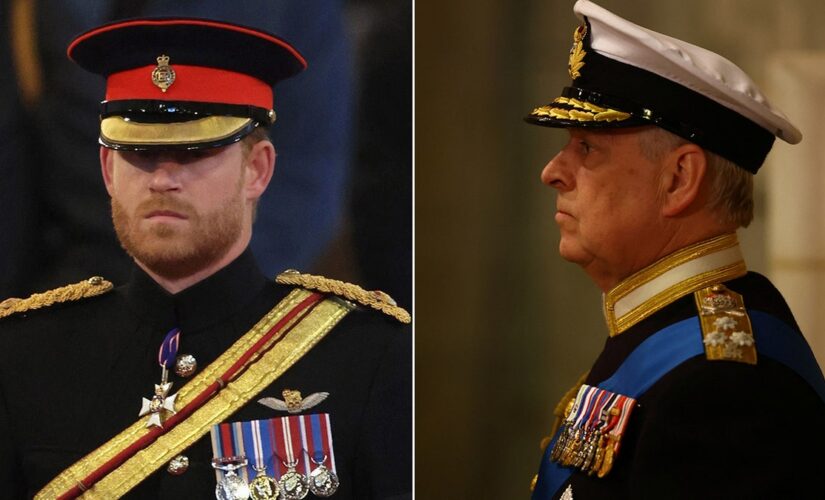 Queen Elizabeth II’s insignia missing from Prince Harry’s uniform, worn by Prince William and Prince Andrew