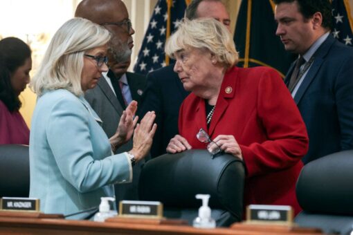 Cheney-backed election reform bill strips VP of all authority when counting presidential votes