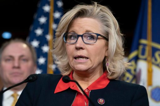 House passes Liz Cheney-backed election reform bill in Dem push to prevent another Trump ‘insurrection’
