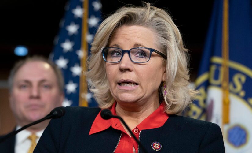 House passes Liz Cheney-backed election reform bill in Dem push to prevent another Trump ‘insurrection’