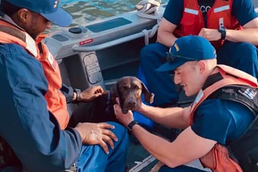 Coast Guard discharging unvaxxed members, allegedly denying promotions despite religious exemption requests