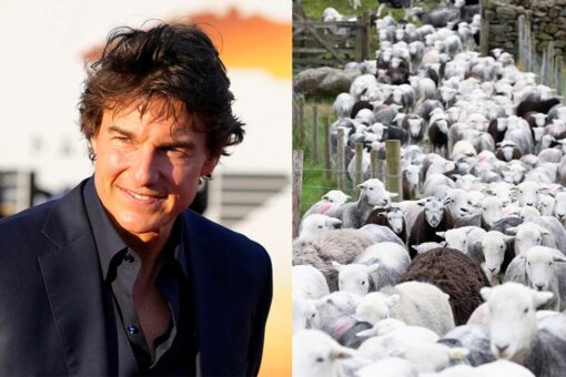 Tom Cruise’s ‘Mission: Impossible 8’ set interrupted by a flock of sheep