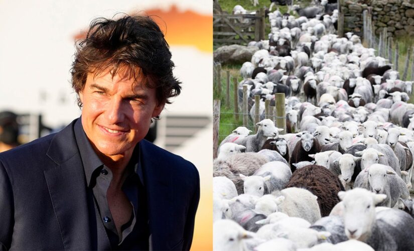 Tom Cruise’s ‘Mission: Impossible 8’ set interrupted by a flock of sheep