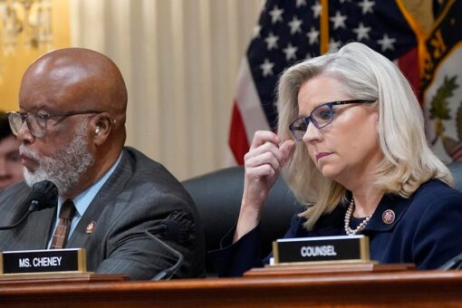 Election reform bill from Liz Cheney, Democrats may get House vote next week