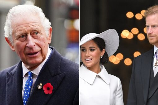 King Charles first ‘major test’: Punish or protect Harry by snubbing his and Meghan Markle’s kids, expert says