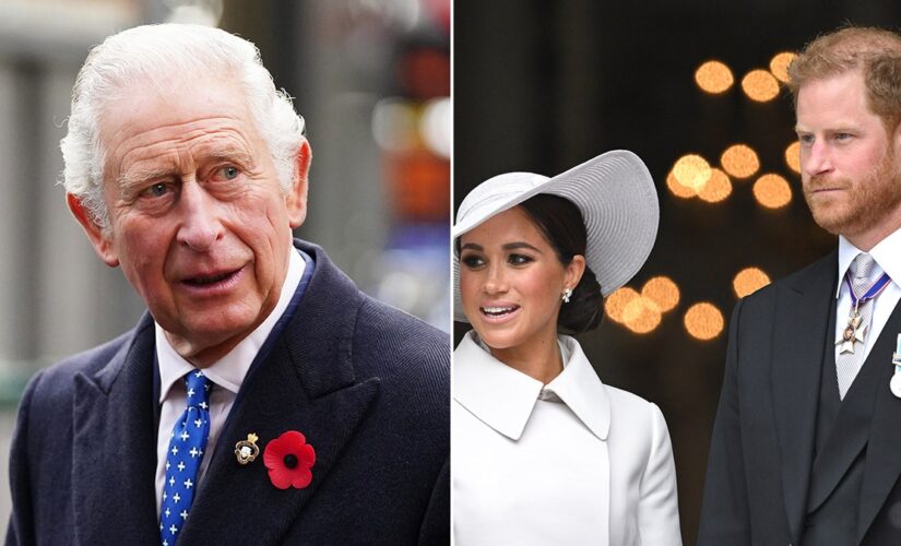 King Charles first ‘major test’: Punish or protect Harry by snubbing his and Meghan Markle’s kids, expert says