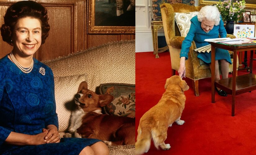 Queen Elizabeth II’s corgis will be cared for by Prince Andrew and Sarah Ferguson: report