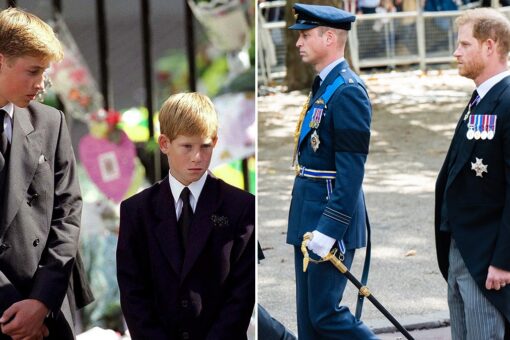 Queen Elizabeth II and Princess Diana: Echoes of royal past as Prince William and Prince Harry mourn